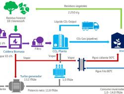 Ilustración Biomasa